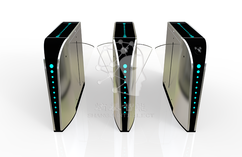 橋式烤漆弧面非標翼閘JT-Y270